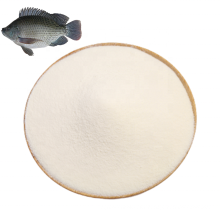 China Supply High Quality OEM Pure Fish Anti-oxidation Collagen Peptides